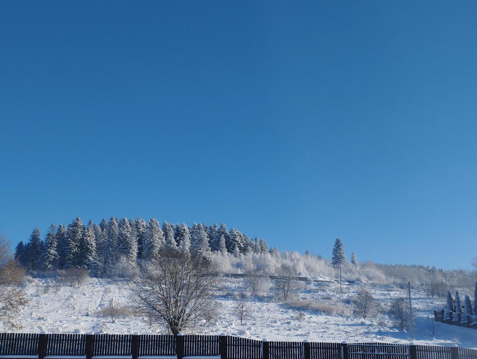 Перлина Карпат Apartamento Skhidnytsia Exterior foto